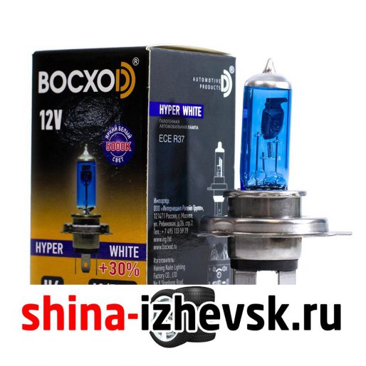 Лампа галогеновая BocxoD — H4-55 Вт-5000К, 1 шт. в Ижевске